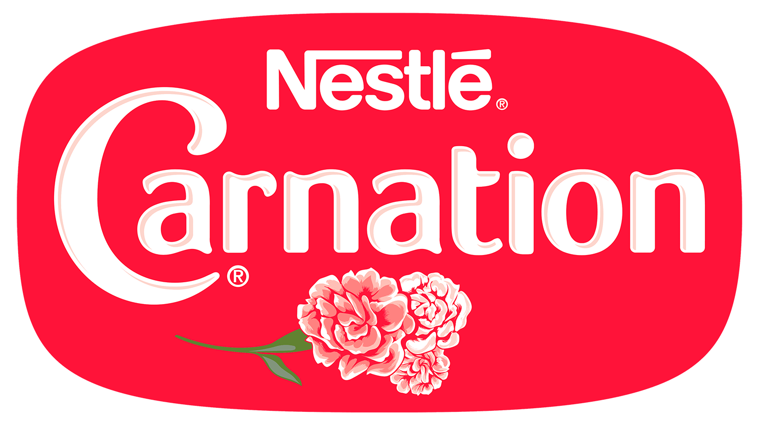 Carnation